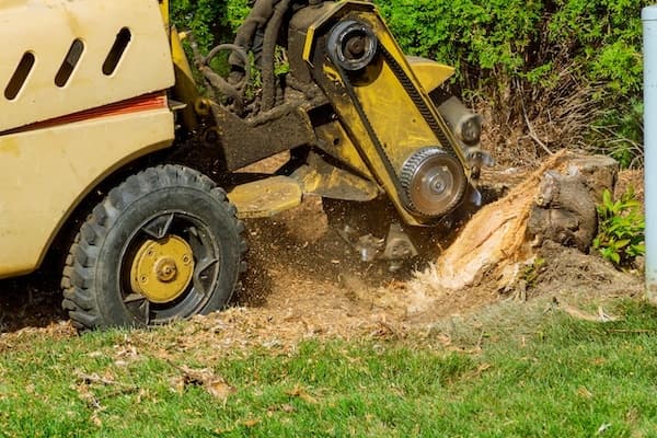 Southern Tree Care photo 3