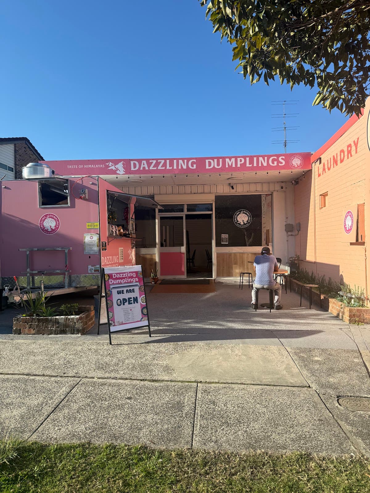 Dazzling Dumplings ( Food truck)