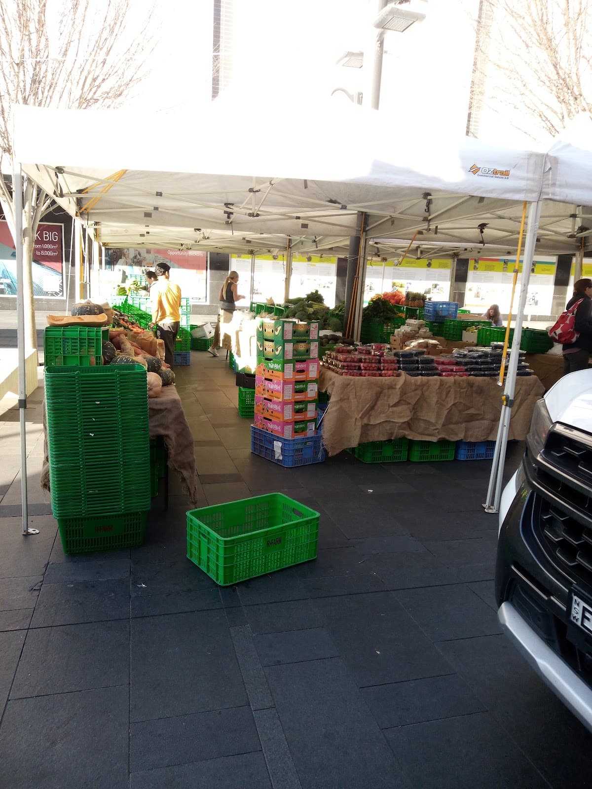 FRIDAY FORAGE MARKET photo 3