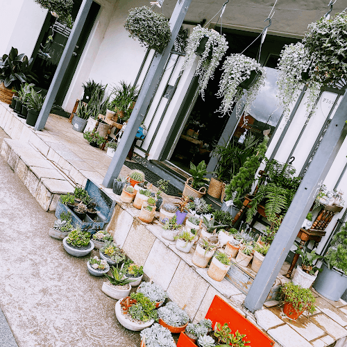 Floral Anthology Albion Park