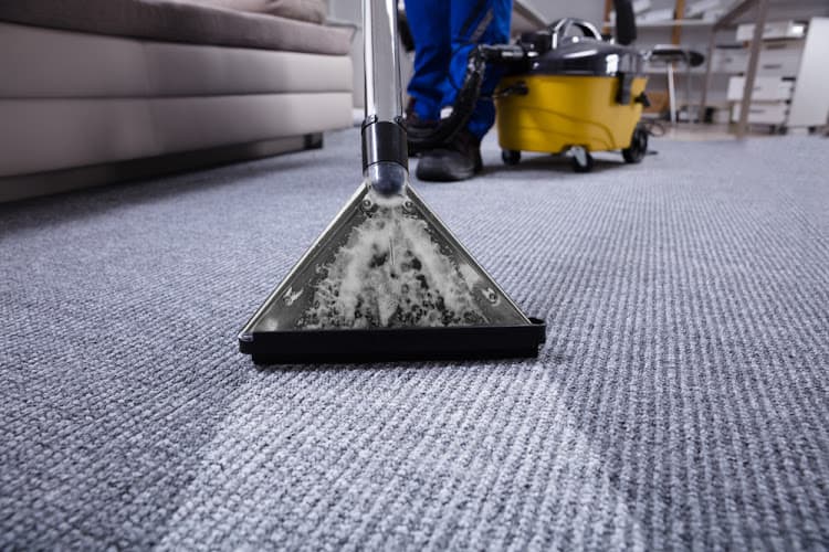 Wilson's Carpet Cleaning Wollongong