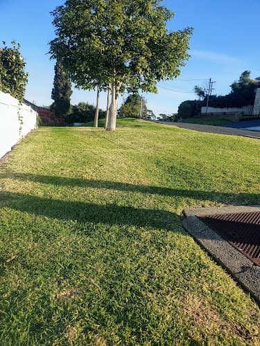 Advanced Mowing & Maintenance