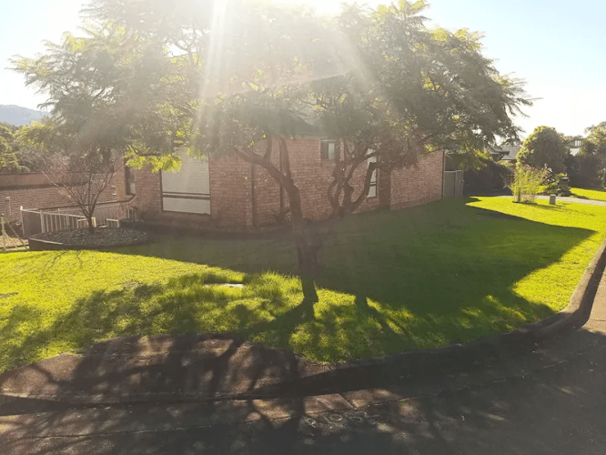 Babylon - Gardens, Lawns & Landscaping