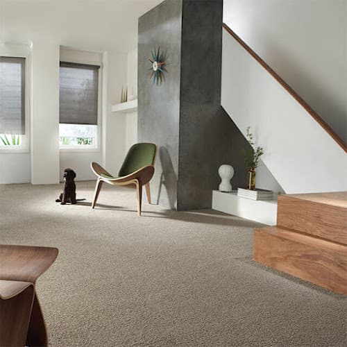 Corrimal Carpet One