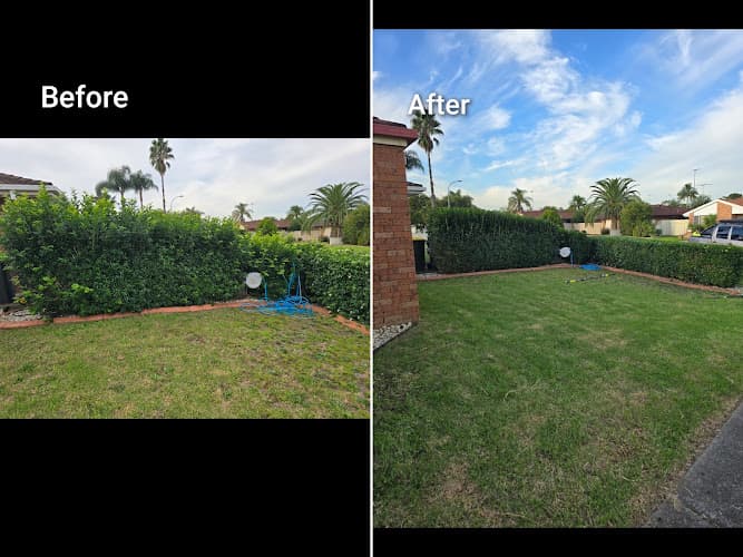Wollongong Hedges & Garden Maintenance