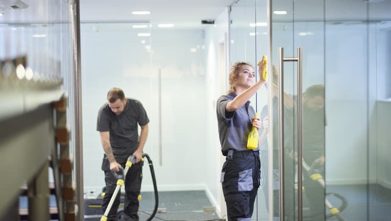 Wollongong Cleaner
