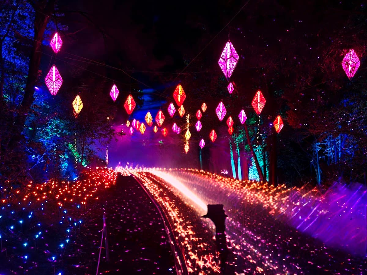 The Enchanted Forest - In Bloom photo 2