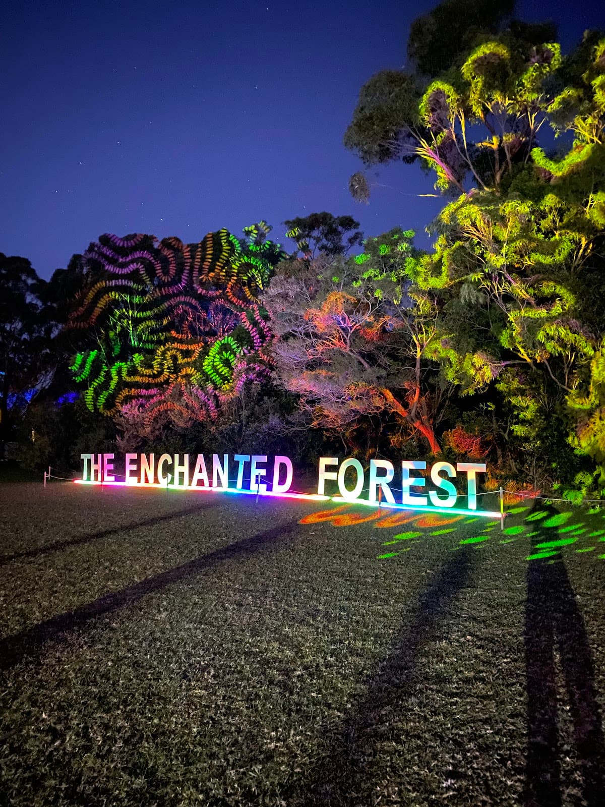 The Enchanted Forest - In Bloom photo 3
