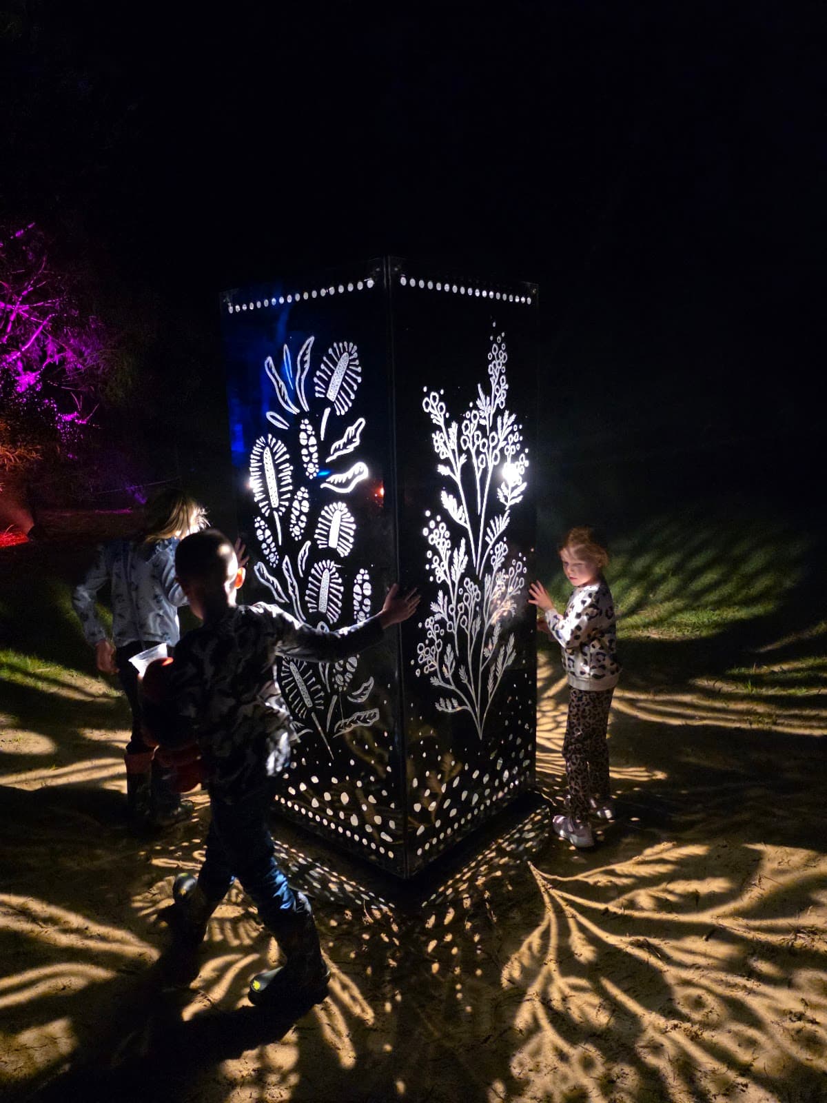 The Enchanted Forest - In Bloom photo 4