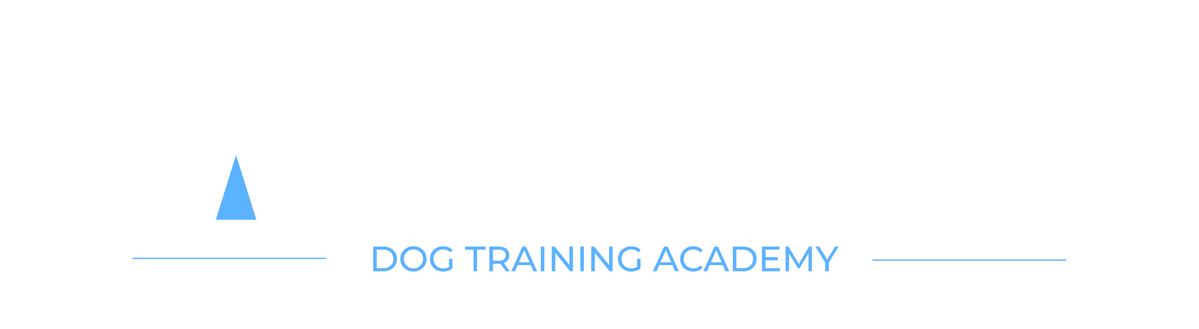 Walkys Dog Training Academy