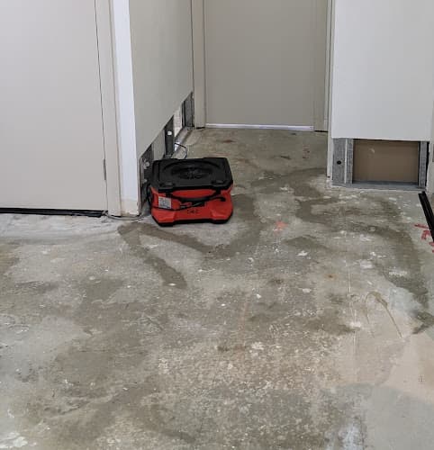 Wollongong Mould Removal