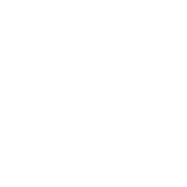 The Podiatry & Biomechanics Co