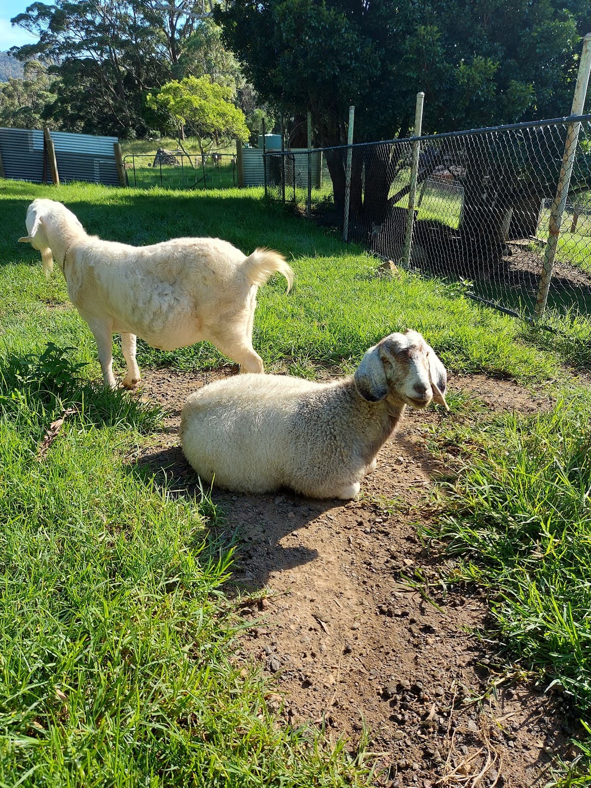 Jamberoo Peaceful Farm Stay photo 2