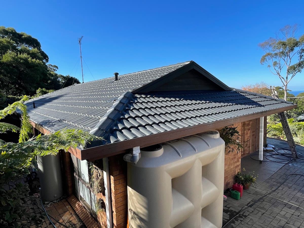All Roofs Painted photo 4