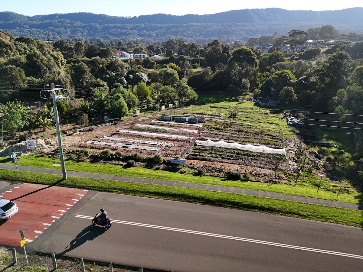 Woonona Community Garden photo 2