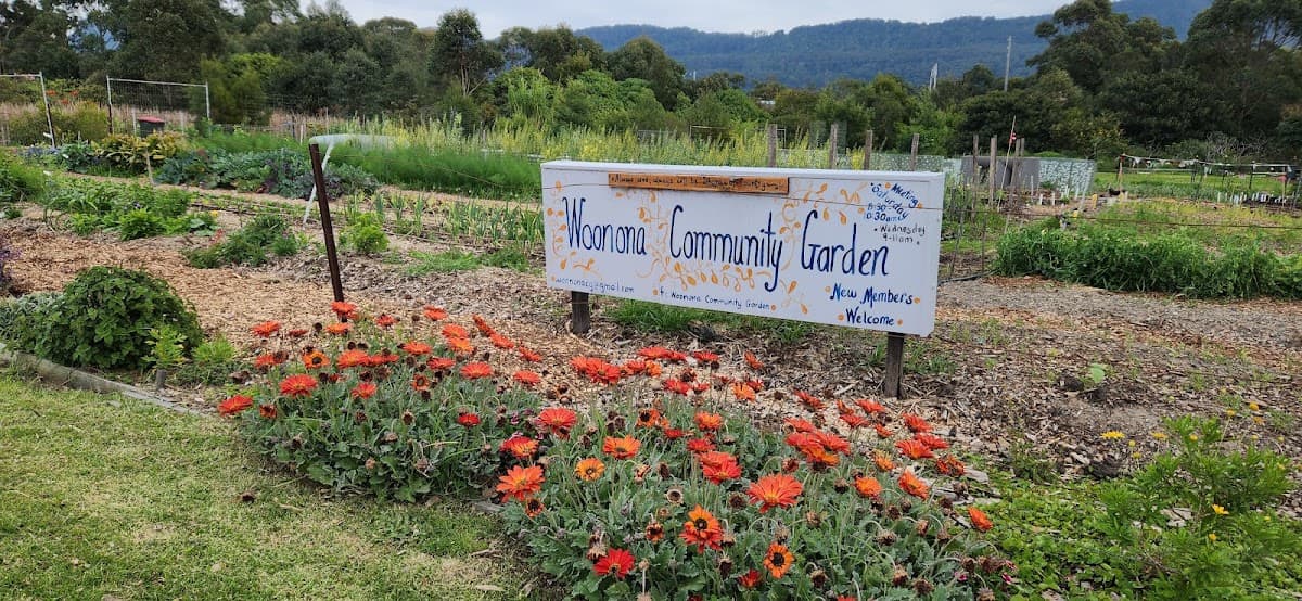 Woonona Community Garden photo 3