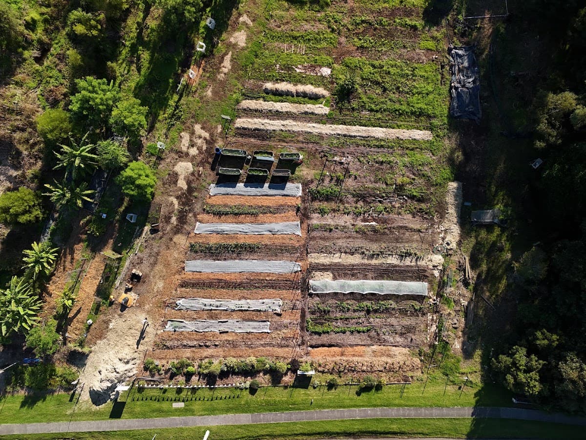 Woonona Community Garden photo 4