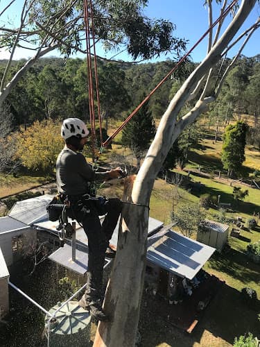 Kiama Tree Care