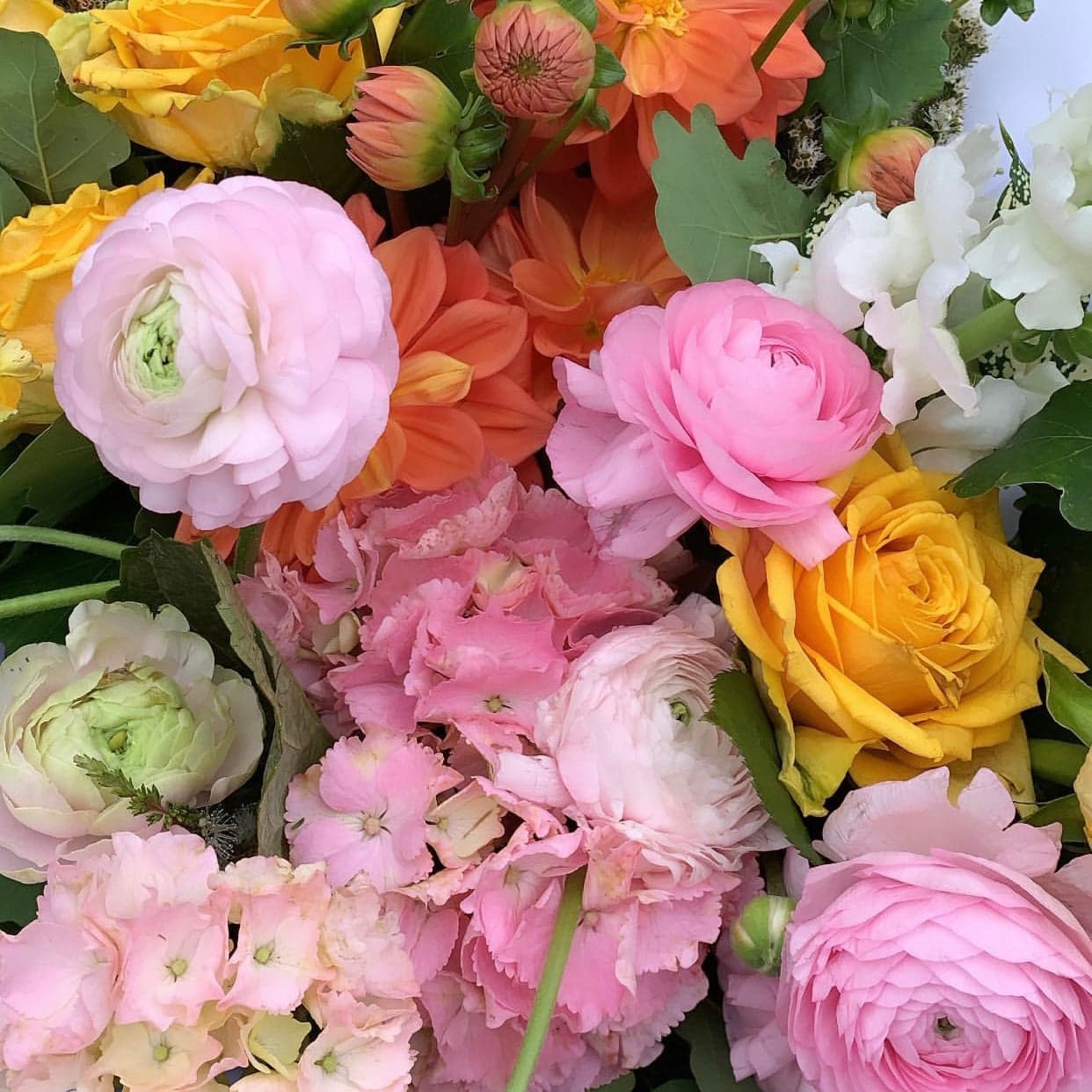 Always Flowers Kiama