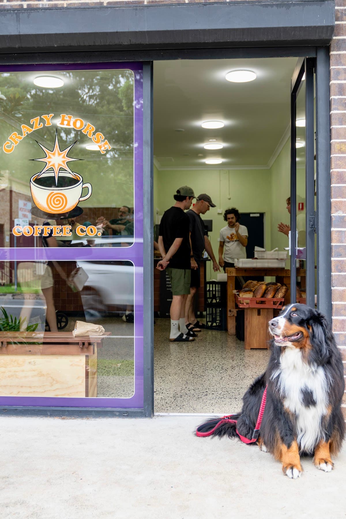 Crazy Horse Coffee Co - Tarrawanna