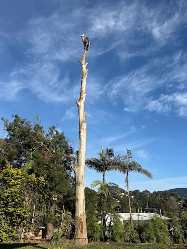 Shane Keys Tree & Garden