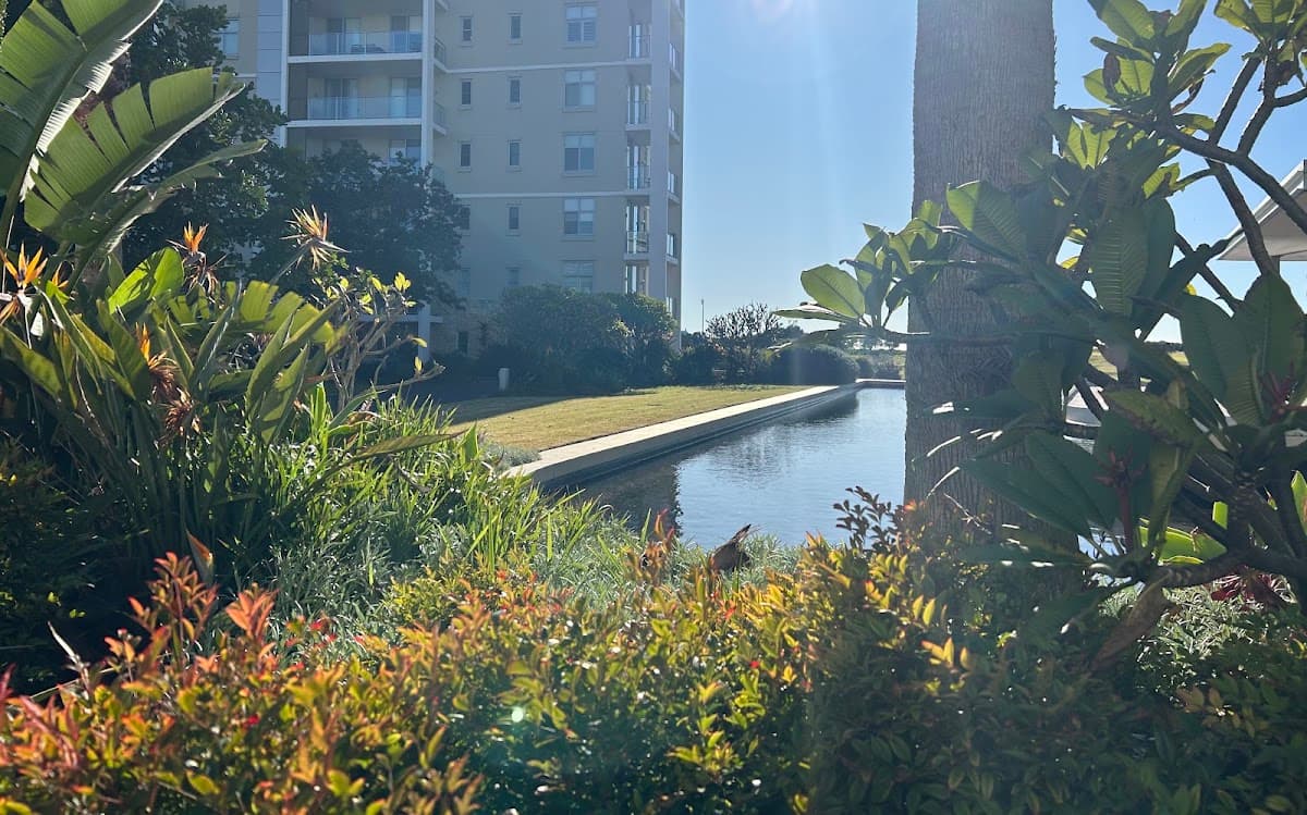 Shellcove Landscaping & Maintenance