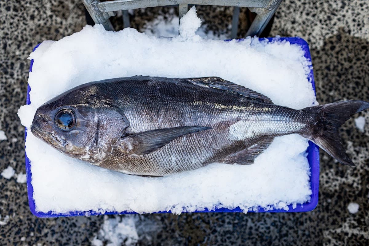 Better Choice Fisheries photo 3