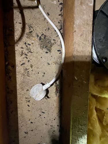 North Wollongong Pest Services