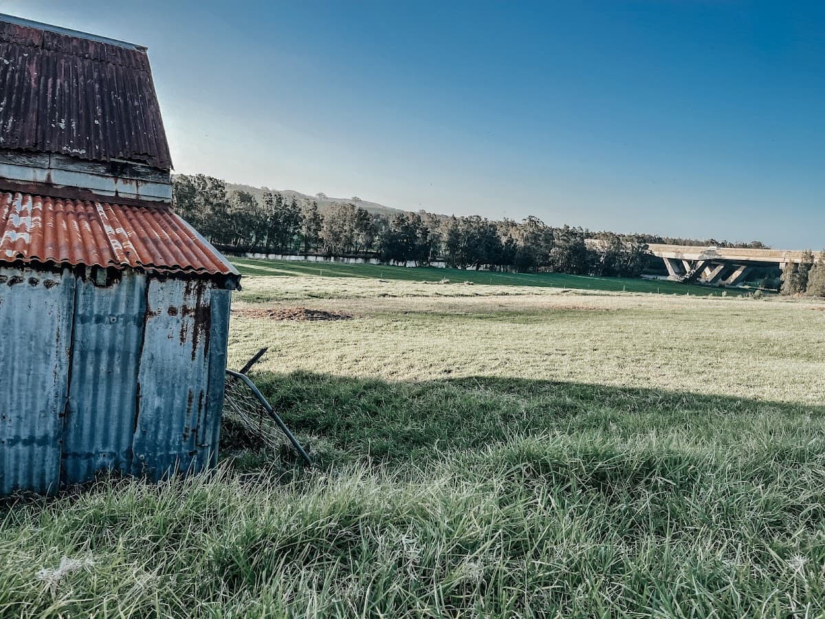 Windmill Farm photo 2