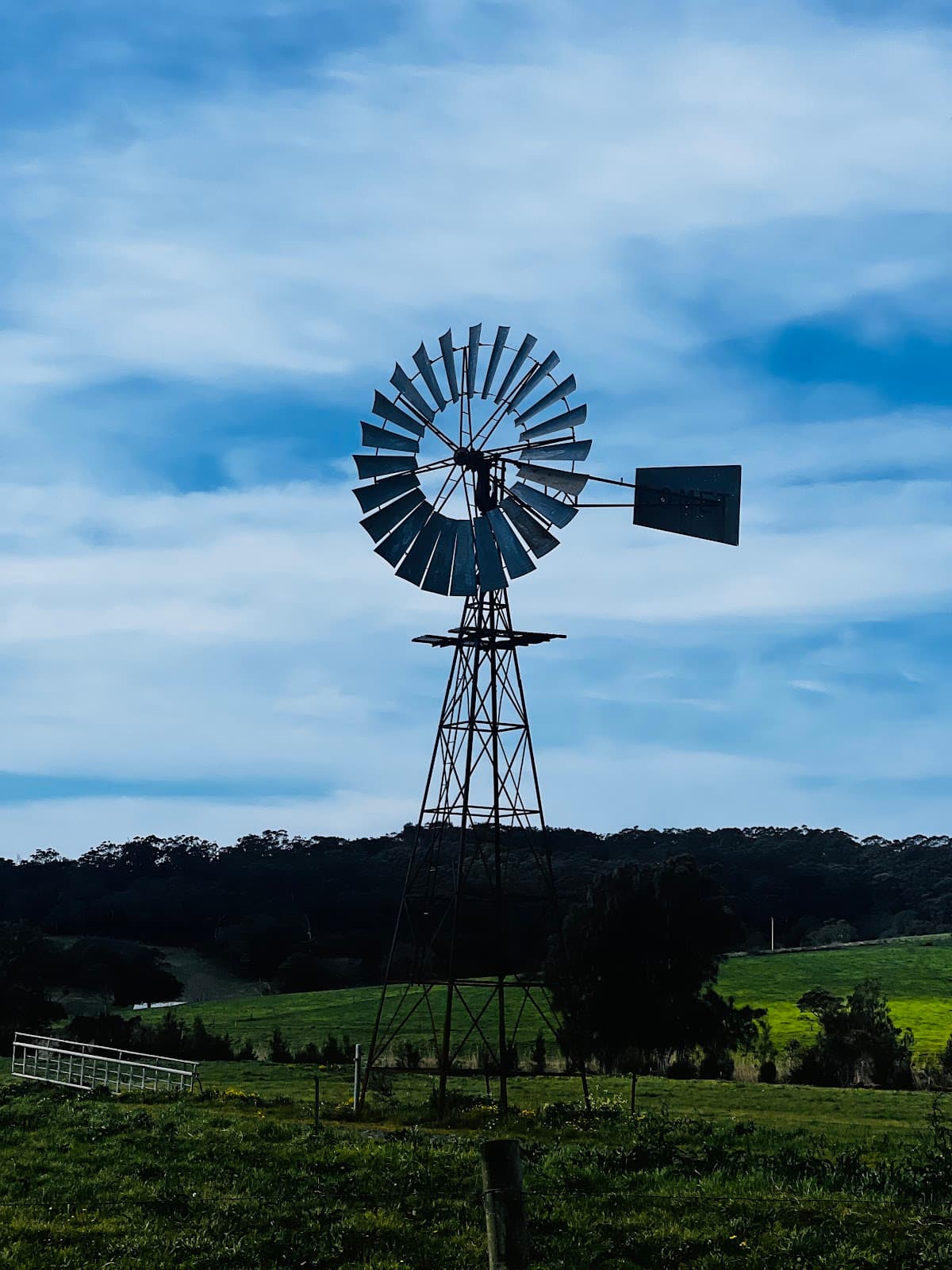 Windmill Farm photo 3