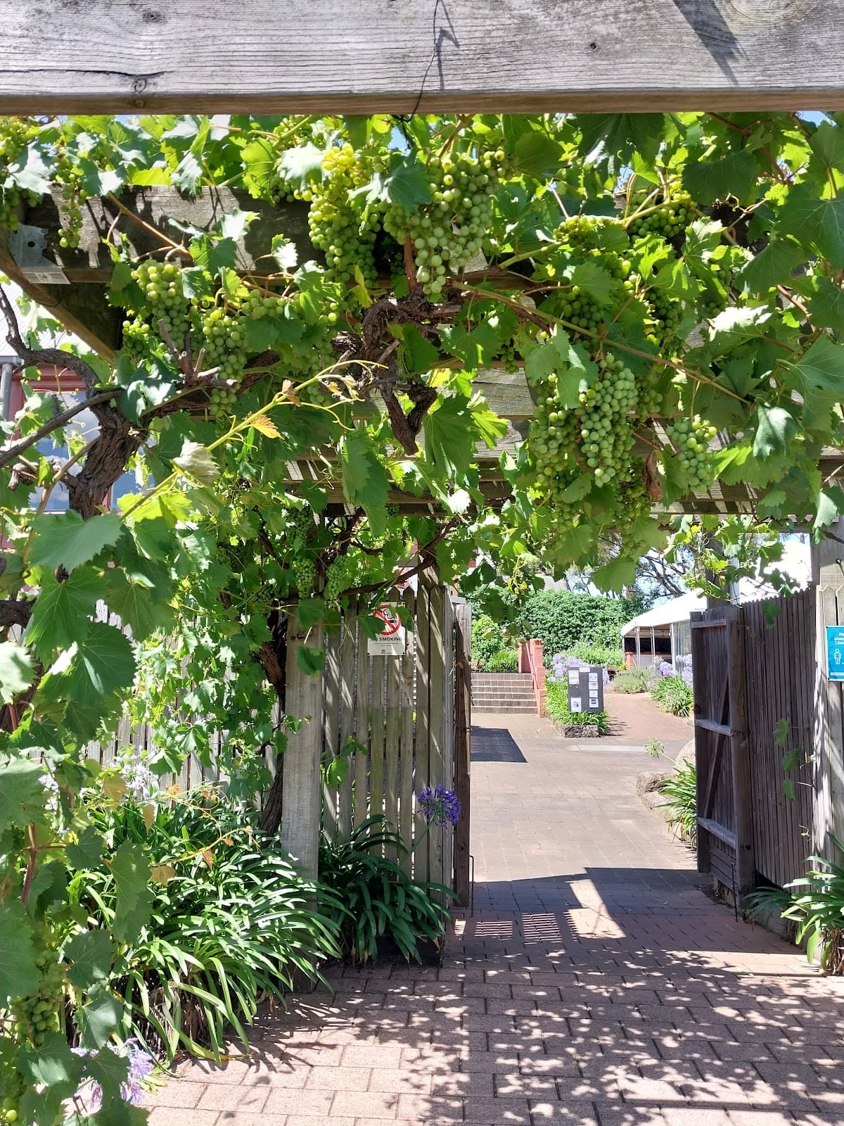 Coolangatta Estate Homestead. photo 4
