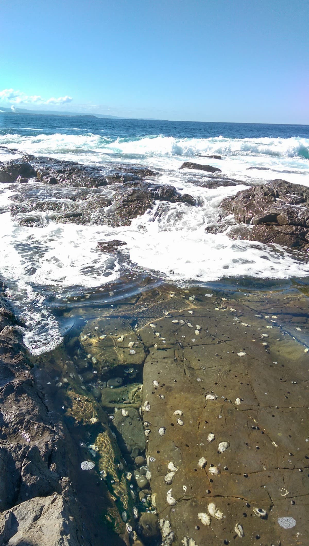 Shell Cove photo 3