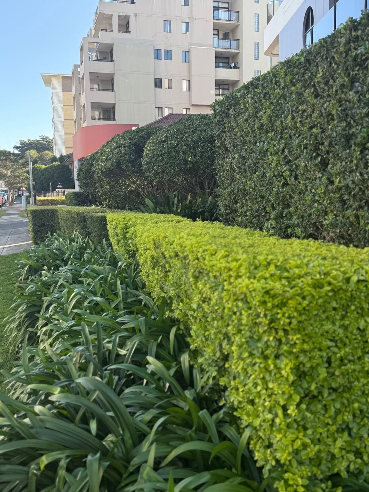 Illawarra Facilities Management photo 4