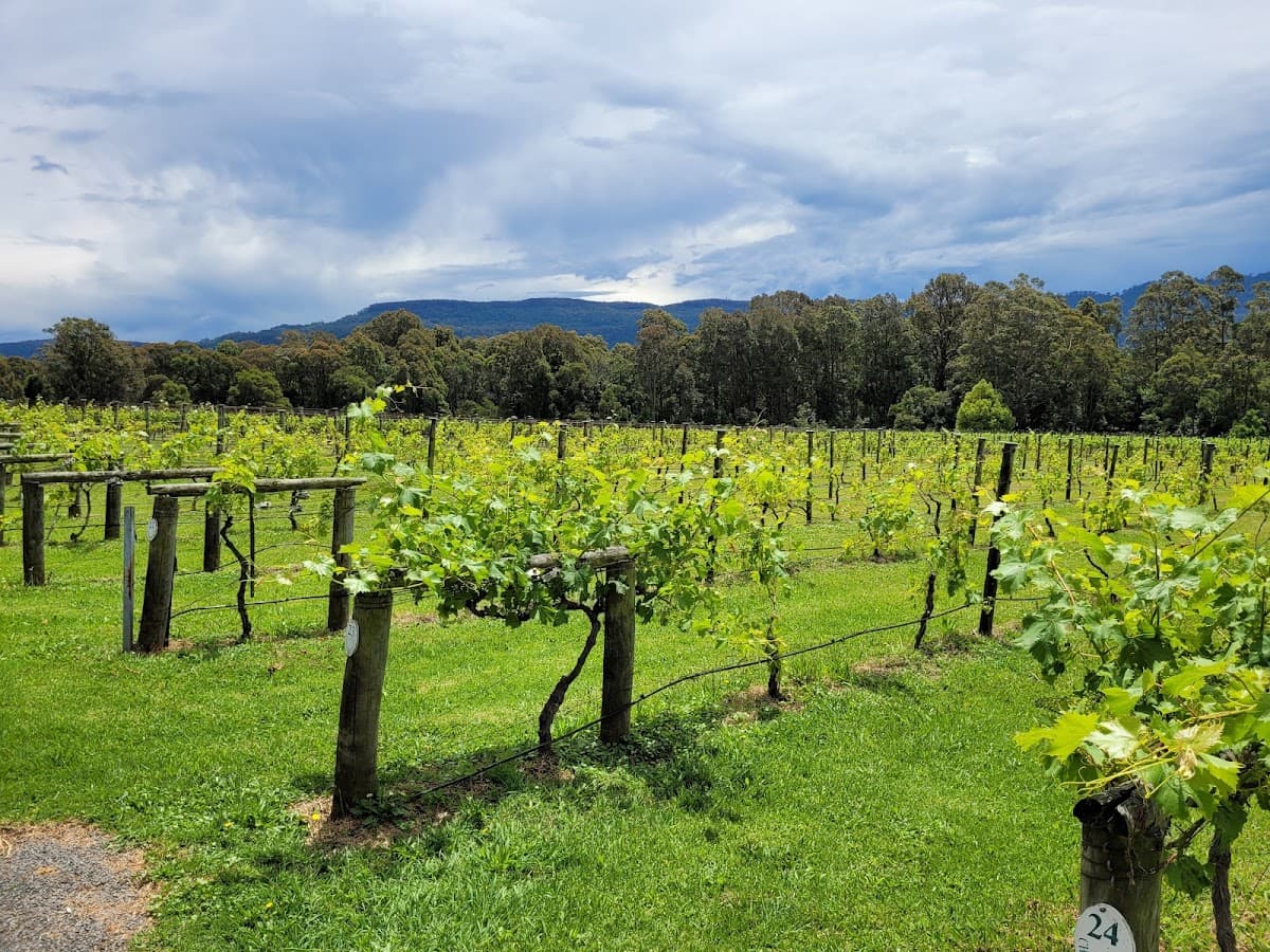 Cambewarra Estate Winery