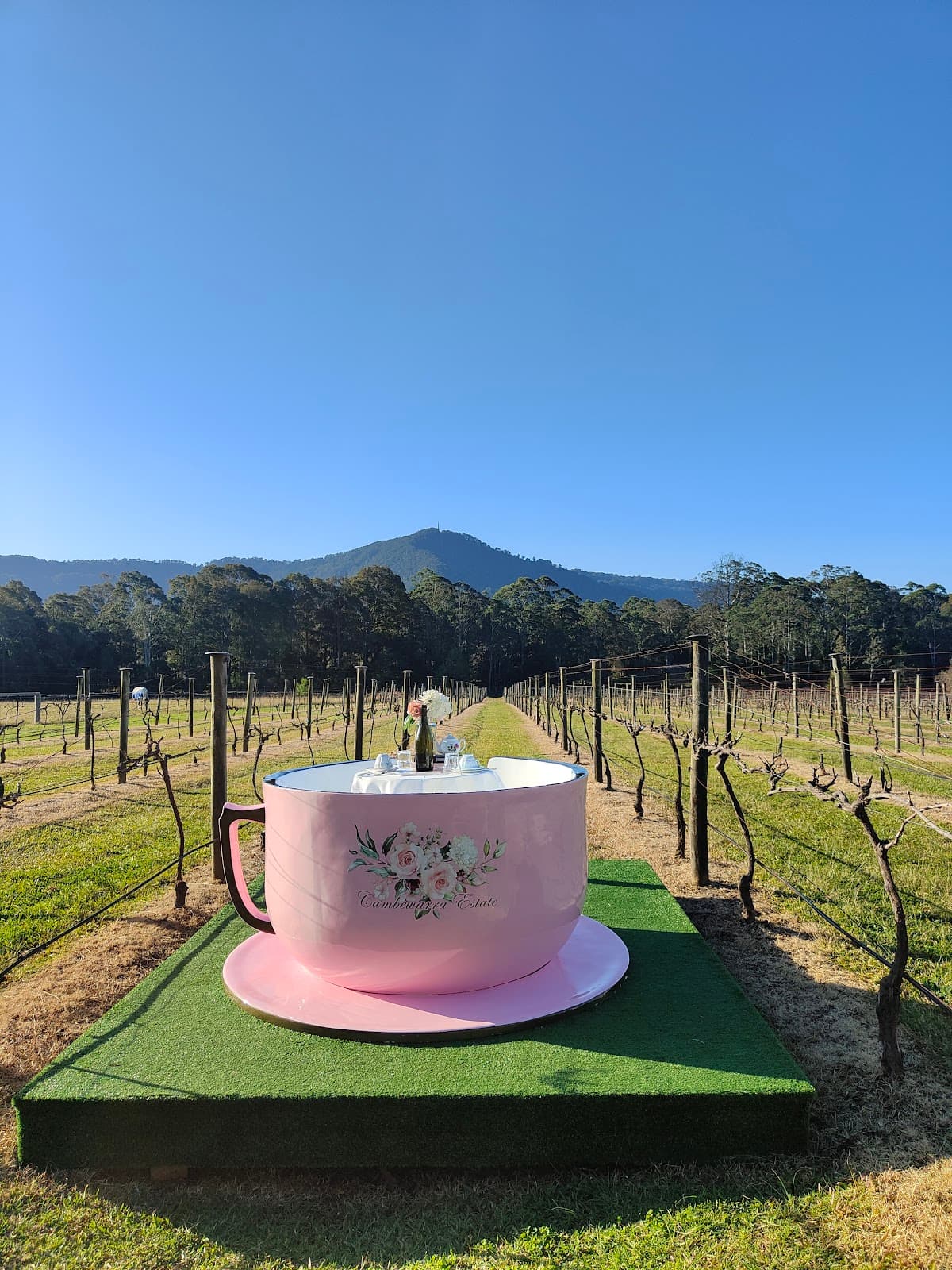 Cambewarra Estate Winery photo 2