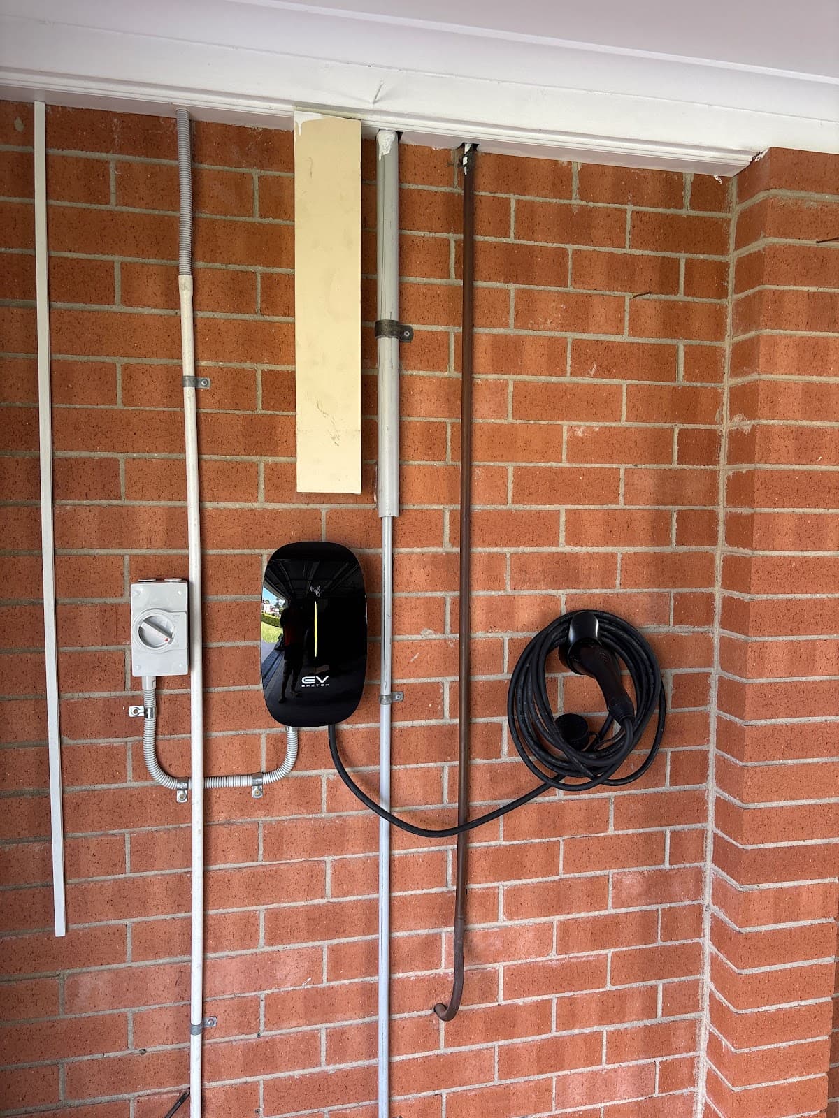Rapid Sparky photo 2