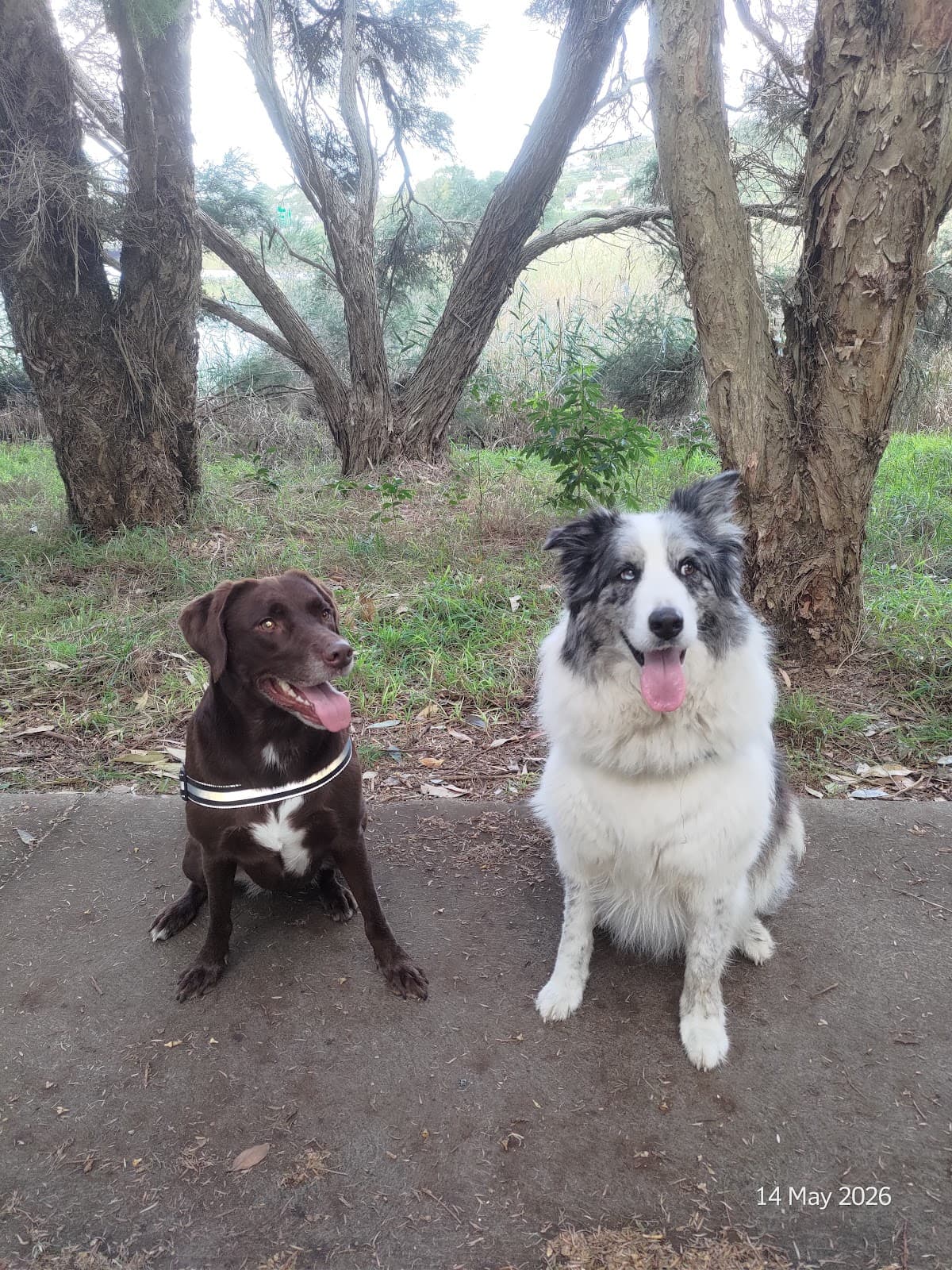 South Coast Veterinary Hospital photo 3