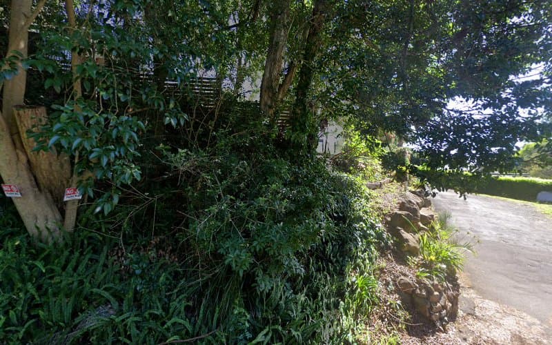 Northern Tree Service