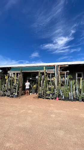 Cactus Talk