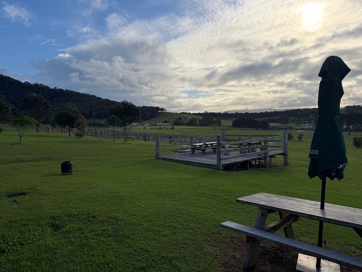 Mountain Ridge Wines Restaurant & Cellar Door photo 4