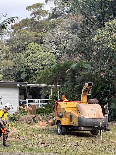 Coal Coast Tree Services Wollongong