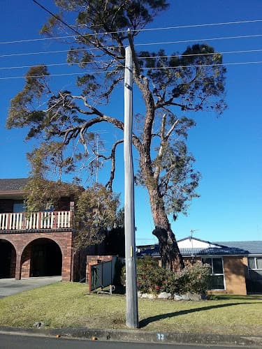 Robert Mank Tree Care Services