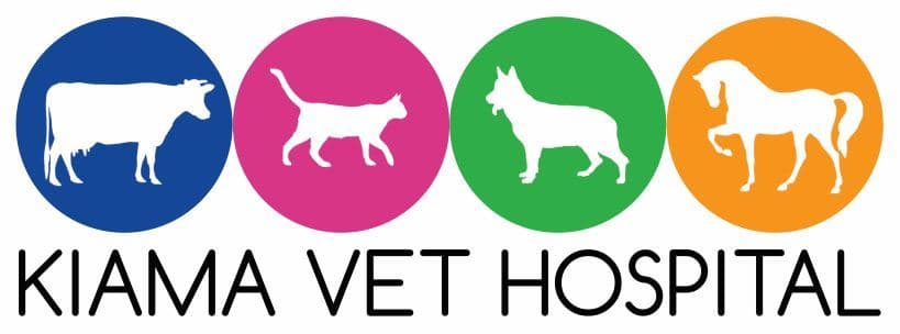 Kiama Veterinary Hospital