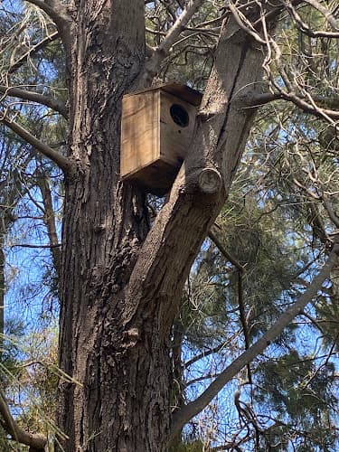Possum busters
