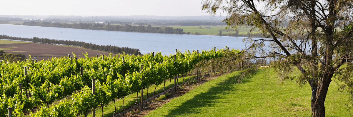 Two Figs Winery | Berry