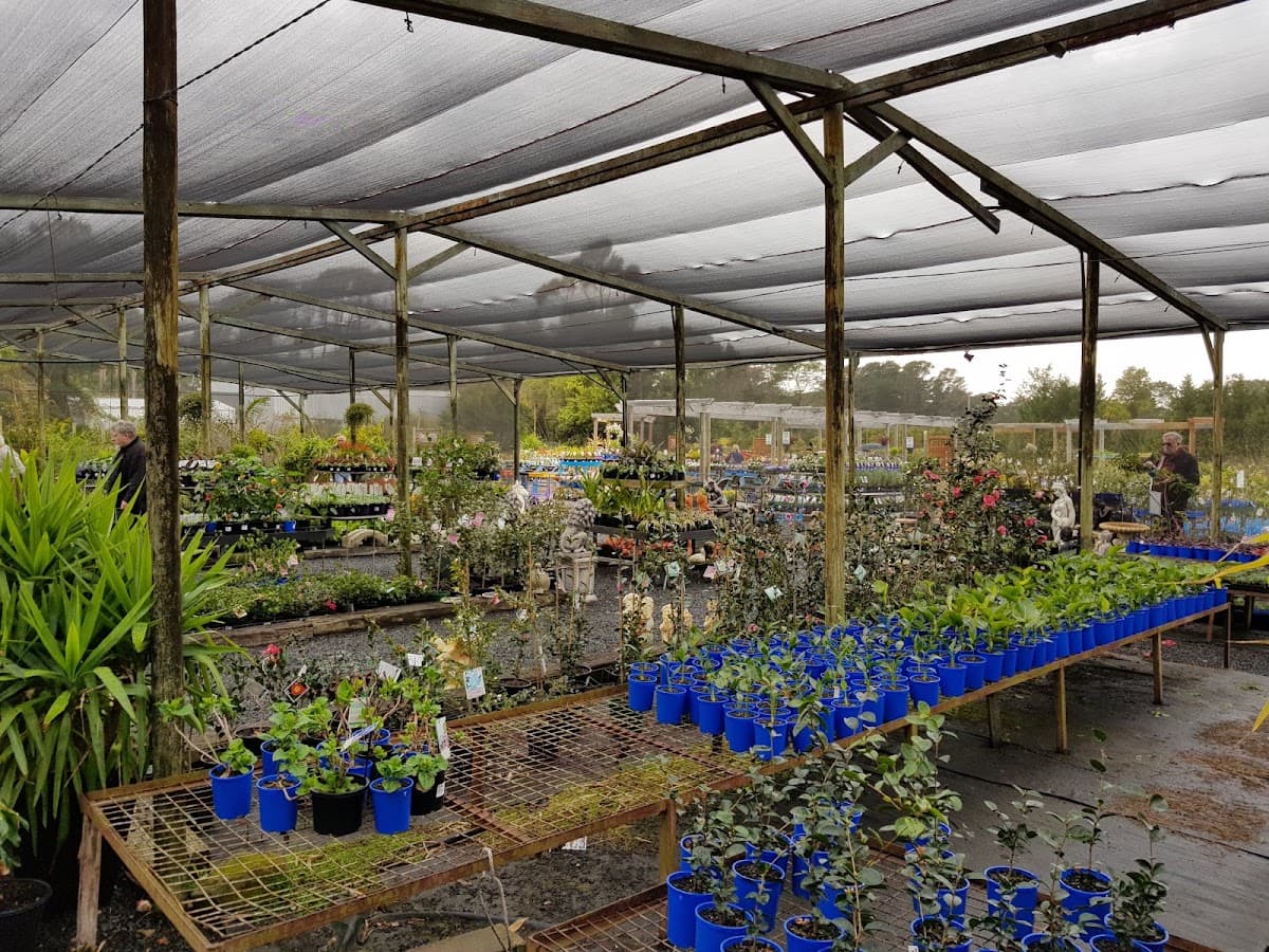 Sunrise Nursery photo 3