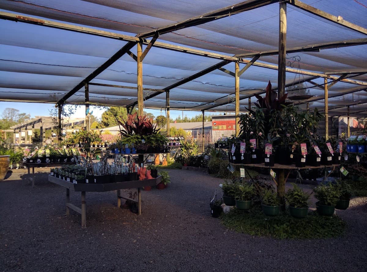 Sunrise Nursery photo 4