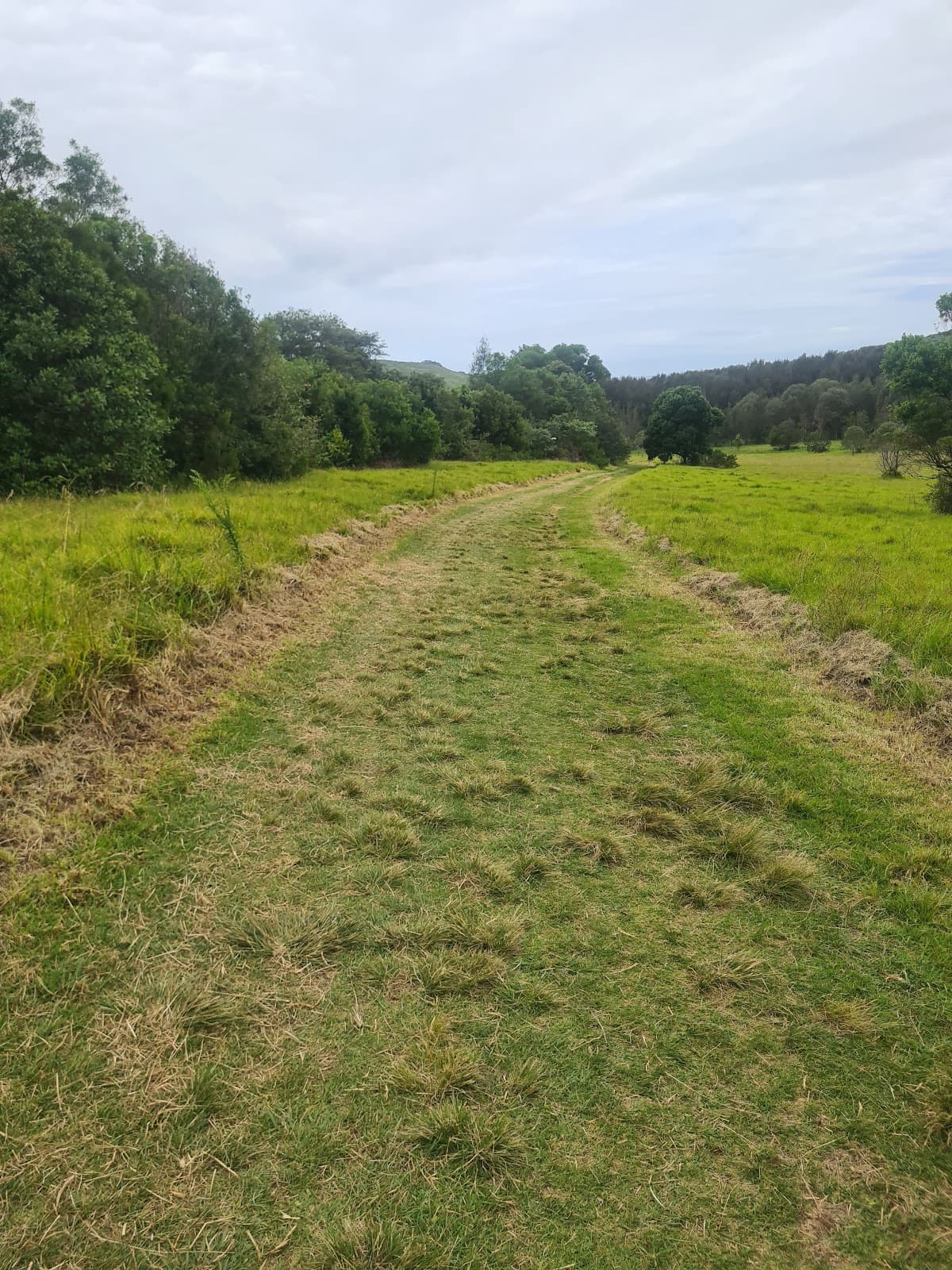 Farm photo 3