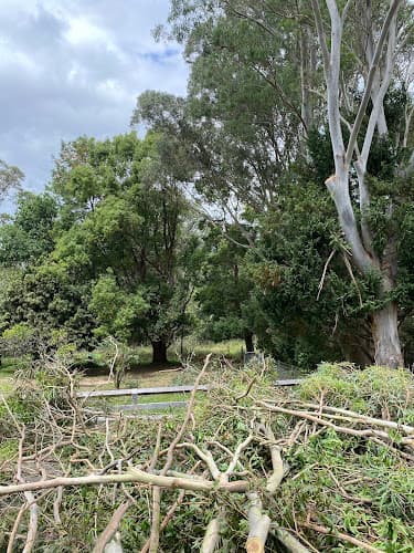 Jamberoo Arborist